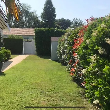 Maison Moderne Avec Piscine *